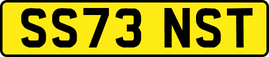 SS73NST