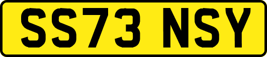 SS73NSY