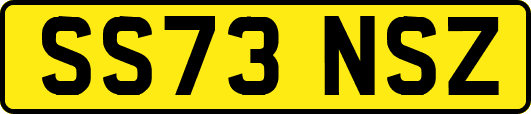 SS73NSZ