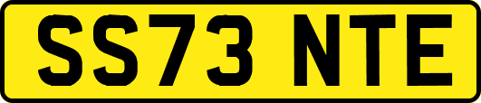 SS73NTE
