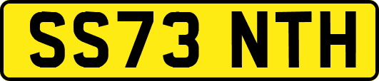 SS73NTH