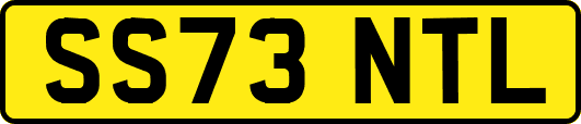 SS73NTL