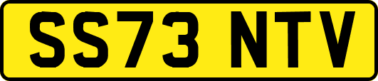 SS73NTV