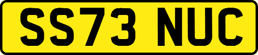 SS73NUC