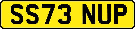 SS73NUP