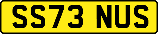 SS73NUS