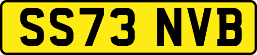 SS73NVB