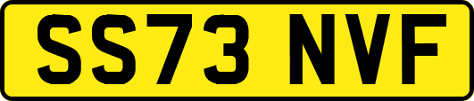 SS73NVF