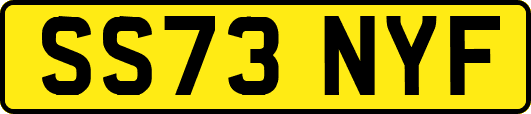 SS73NYF