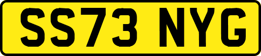 SS73NYG