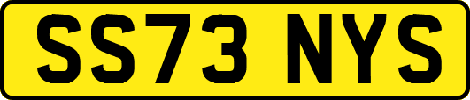 SS73NYS