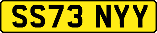 SS73NYY
