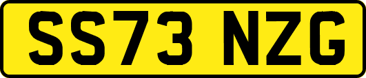 SS73NZG