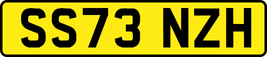 SS73NZH
