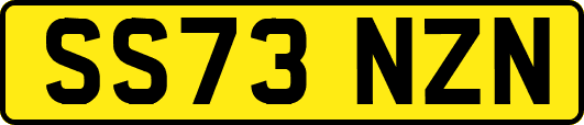 SS73NZN