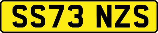 SS73NZS
