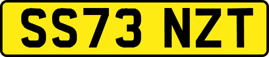 SS73NZT