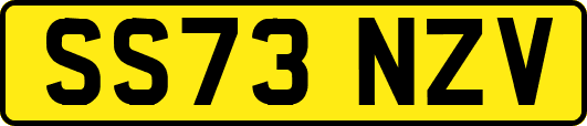 SS73NZV