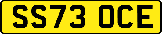SS73OCE