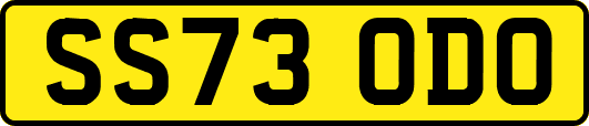 SS73ODO