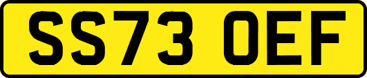 SS73OEF