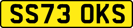 SS73OKS