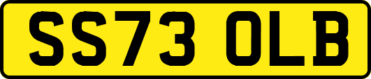 SS73OLB
