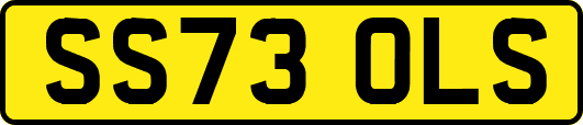 SS73OLS