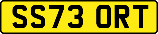 SS73ORT