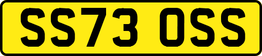 SS73OSS