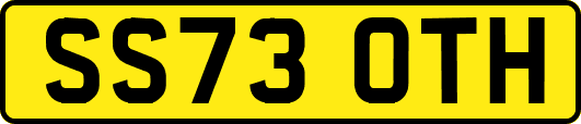SS73OTH