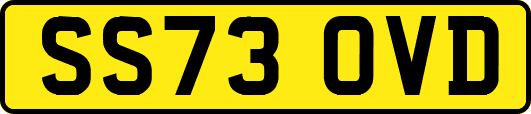 SS73OVD