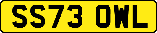 SS73OWL