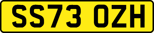 SS73OZH