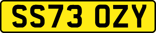 SS73OZY