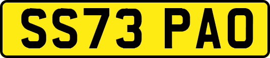 SS73PAO