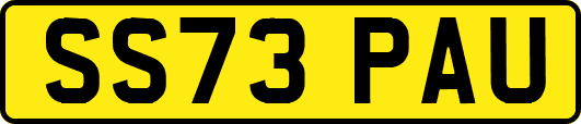 SS73PAU