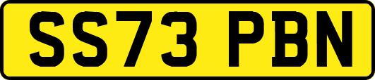 SS73PBN