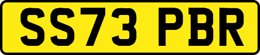 SS73PBR