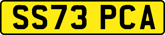 SS73PCA
