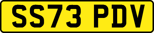 SS73PDV