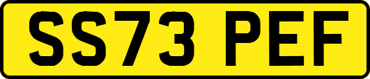 SS73PEF