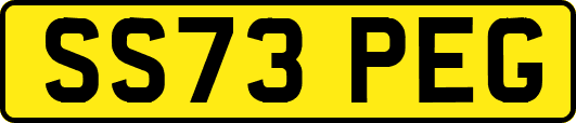 SS73PEG