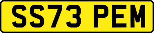 SS73PEM