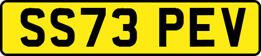 SS73PEV