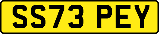 SS73PEY