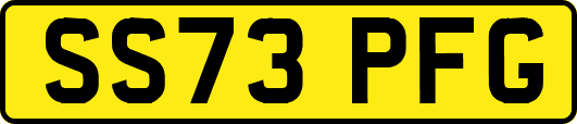 SS73PFG