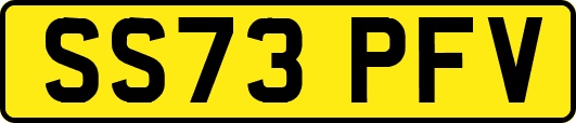 SS73PFV