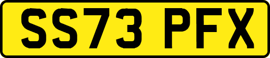 SS73PFX
