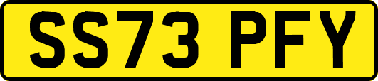 SS73PFY